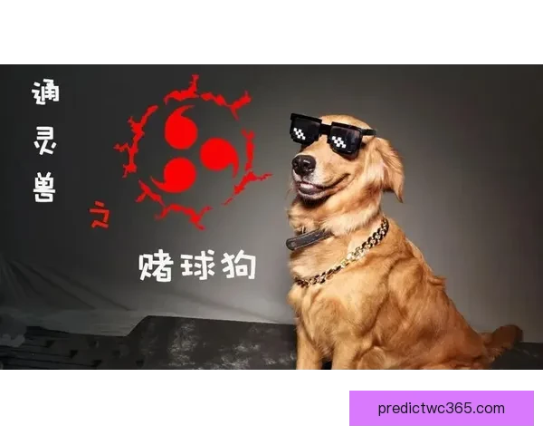 世界杯买球投注全攻略理性分析投注技巧与风险控制指南