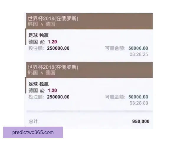 世界杯赛事预测：全面解析球队表现与投注策略助你精准竞猜